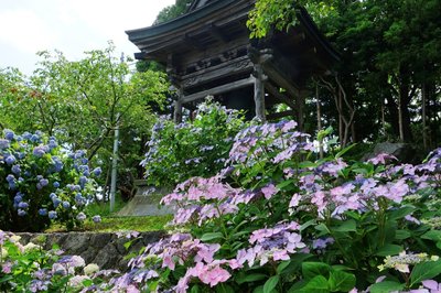🏯 유주 선광사(우수 젠코지) 이미지 2